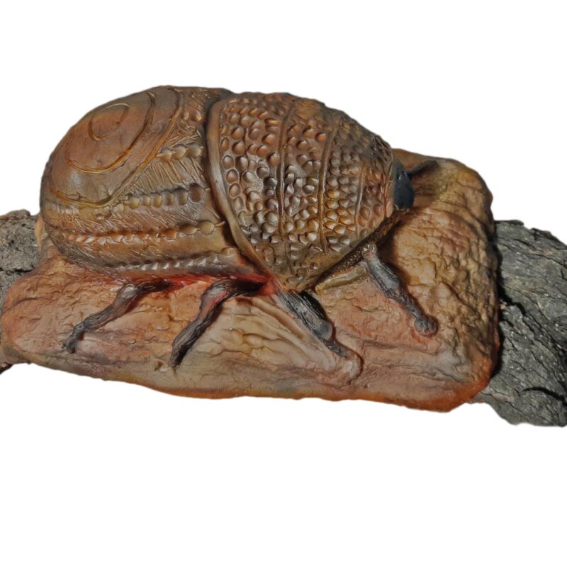 InForm 3D bark beetle 