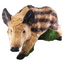 IBB 3D Young boar