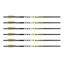 KILLER INSTINCT Hypr KE - Carbon bolt - 20 Inch - Pack of 6