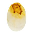 InForm 3D Egg
