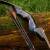 DRAKE ARCHERY ELITE Blue Royal - 60 inch - 20-60 lbs - Take Down Recurve bow Right hand 20 lbs