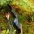 DRAKE ARCHERY ELITE Blue Royal - 60 inch - 20-60 lbs - Take Down Recurve bow Right hand 20 lbs