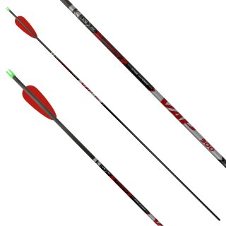 Complete arrow | VICTORY ARCHERY VAP Target - Sport - Carbon