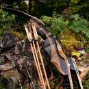 SPIDERBOWS Blizzard Classic - 68 in. - 30 lbs - Take Down Recurve bow | Right hand