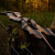 SPIDERBOWS Blizzard Classic - 68 in. - 30 lbs - Take Down Recurve bow | Right hand