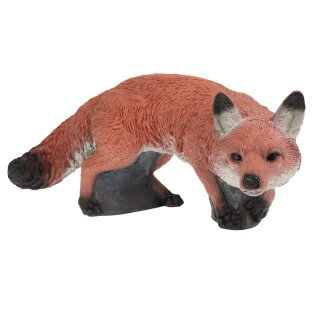 FRANZBOGEN Male fox