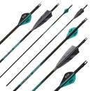 26-30 lbs | Carbon arrow | SPHERE Hunter Pro - with feathers | Spine 800 | 32 inches
