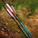 26-30 lbs | Carbon arrow | SPHERE Hunter Pro - with feathers | Spine 800 | 32 inches