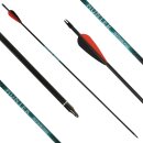 26-30 lbs | [PRICE TIP] Carbon arrow | SPHERE Hunter Pro...