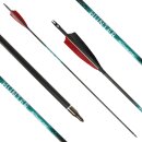 26-30 lbs | [PRICE TIP] Carbon arrow | SPHERE Hunter Pro...