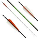 26-30 lbs | [PRICE TIP] Carbon arrow | SPHERE Slimline...