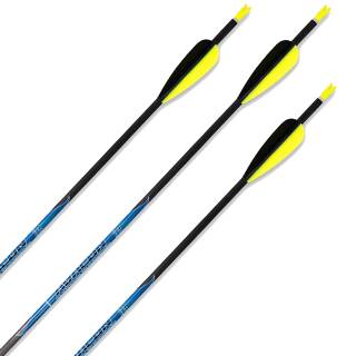 Complete arrow | AVALON Classic - Carbon - 32 Inches - 12er Pack