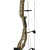 BEAR ARCHERY Compoundbogen Adapt