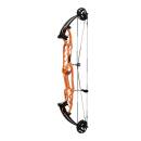 HOYT Stratos 36 HBT - 40-70 lbs - Compound bow