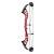 HOYT Altus 35 - 40-70 lbs - Compoundbogen