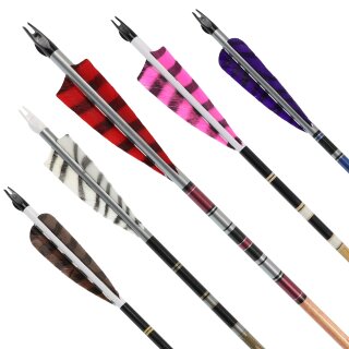 Complete arrow | BSW Timber - fletched ex works