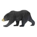 IBB 3D Black Bear - running