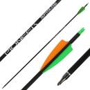 41-55 lbs | SPHERE Pioneer 6.2 - Carbon - Vanes - Spine...