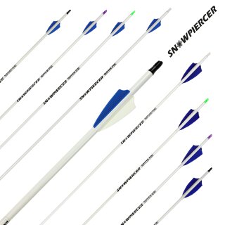 Complete arrow | SPHERE Snowpiercer 6.2 - Carbon