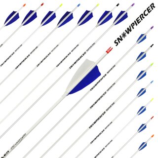 Complete arrow | SPHERE Snowpiercer 4.2 - Carbon