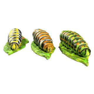 InForm 3D caterpillar