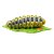 InForm 3D caterpillar
