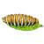 InForm 3D caterpillar