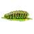 InForm 3D caterpillar