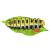 InForm 3D caterpillar