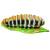 InForm 3D caterpillar