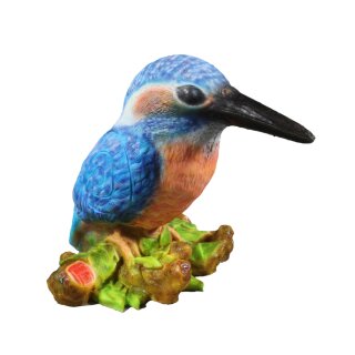 InForm 3D kingfisher