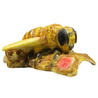 InForm 3D Bee