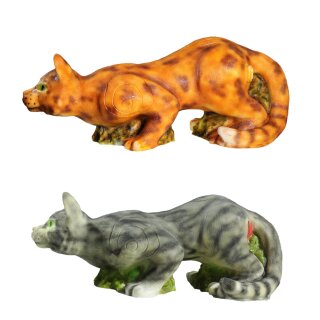 InForm 3D wildcat