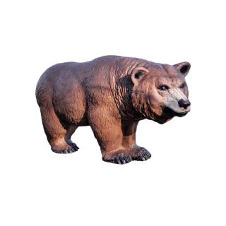 CENTER-POINT 3D laufender Grizzly - Made in Germany [***]