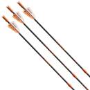 Armbrustbolzen | VICTORY ARCHERY VooDoo - Carbon - 20...