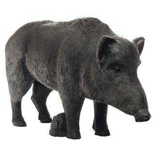 IBB 3D Strong old sow  [***]