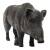IBB 3D Strong old sow  [***]