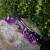 MIETARTIKEL: JACKALOPE Zircon - Explorer - 60-64 Zoll - 22-40 lbs - ILF - Take Down Recurvebogen