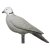 IBB 3D Pigeon