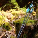 NEW | 7 x complete arrows | SPHERE Contender - Carbon -...