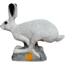 SRT 3D snow hare