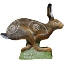 SRT 3D rabbit