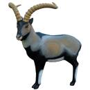 SRT Iberischer Steinbock [***]