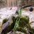 2nd CHANCE | DRAKE ARCHERY ELITE Green Goblin - 60 inches - 50 lbs - Take Down Recurve bow