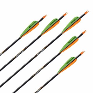 NEW GOODS | 7 x complete arrow | EASTON Powerflight - Vanes - Carbon | Spine: 500 | 25,0 inch