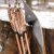 2nd CHANCE | JACKALOPE Moonstick Carbon - 50 Inch - 50 lbs - One Piece Recurve Bow | Left Handed