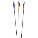 10x Complete Arrow | BEARPAW Penthalon Bandit - Carbon |...