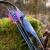 DRAKE ARCHERY ELITE Night Fury Junior - 52 inch - 15 lbs - Hybrid bow