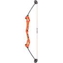 BEAR ARCHERY Valiant - 34 inches - 7-16,5 lbs - Beginners bow