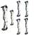 DARTON Sequel 33 ST2 - 40-80 lbs - Compoundbogen